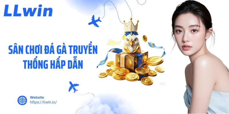 Sân chơi đá gà truyền thống hấp dẫn